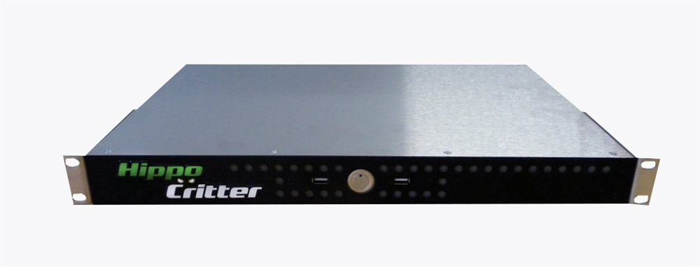 GREEN HIPPO HIPPO CRITTER